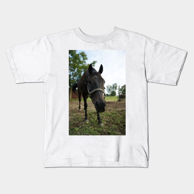 stallion Kids T-Shirt by KensLensDesigns